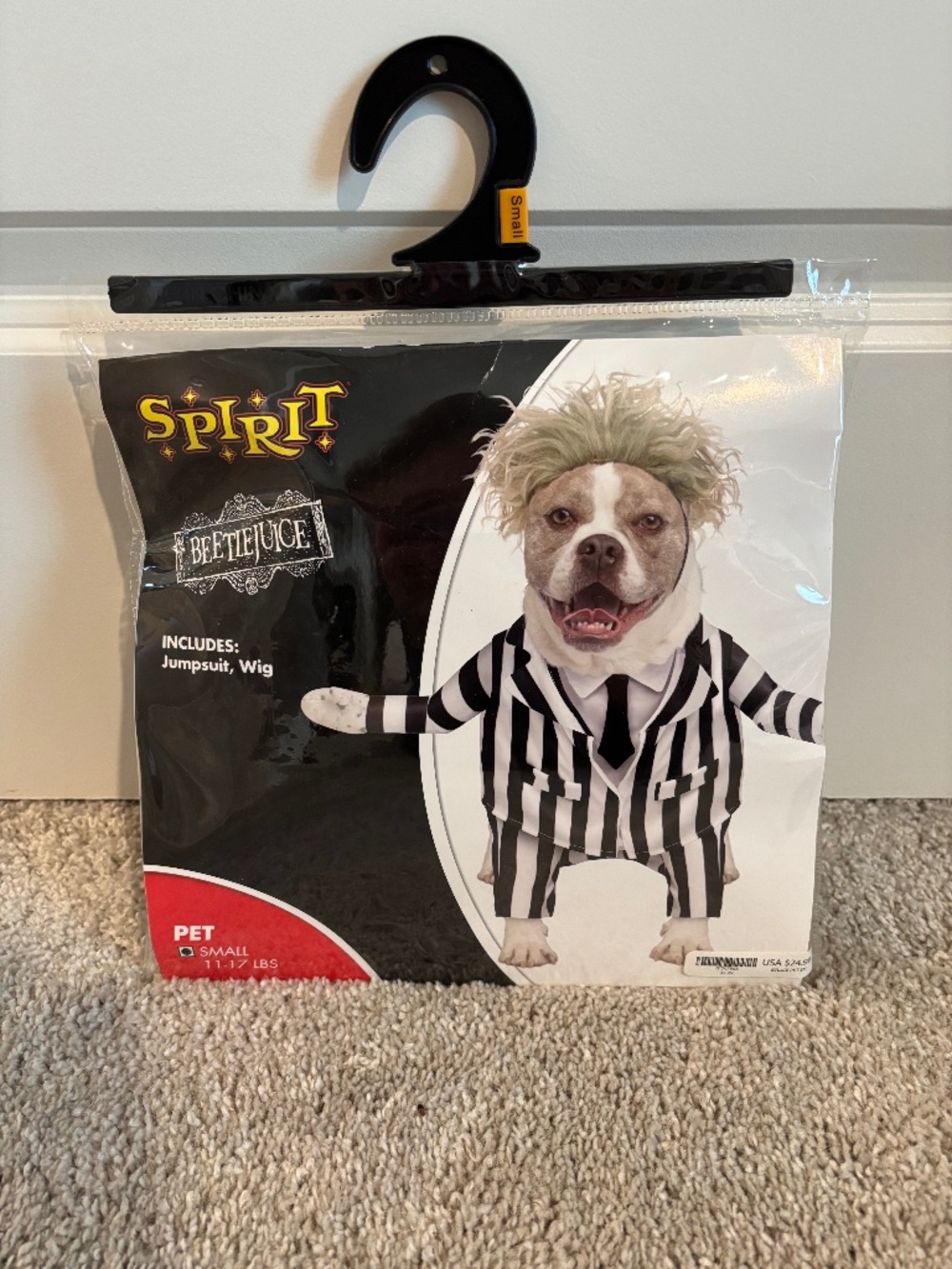 Doggy costume
